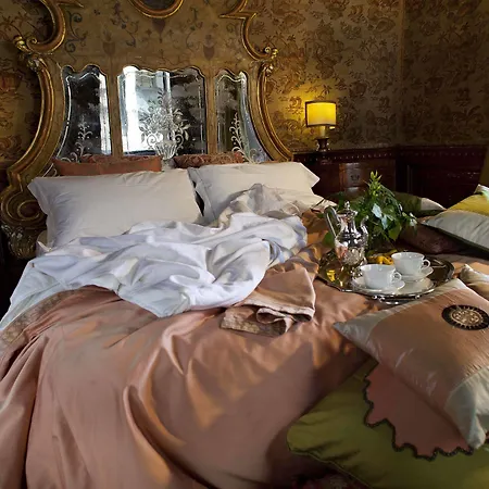 招待所 大运河皮萨尼宫酒店 威尼斯